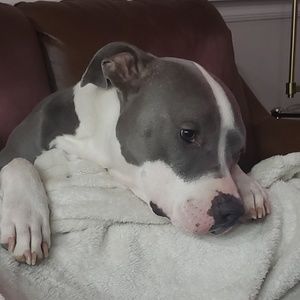 Meet your Posher, Casey